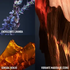 1 Million Royal EDP Vaporizador