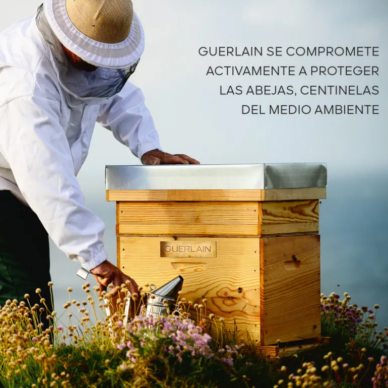 ABEILLE ROYALE LOTION