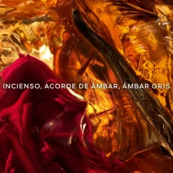 Absolus Allegoria Ambre Samar Eau de Parfum