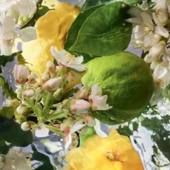 AQUA ALLEGORIA  BERGAMOTE CALABRIA EAU DE TOILETTE