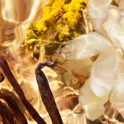 AQUA ALLEGORIA FORTE BOSCA VANILLA EAU DE PARFUM