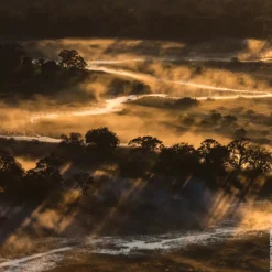 AQUA ALLEGORIA FORTE BOSCA VANILLA EAU DE PARFUM