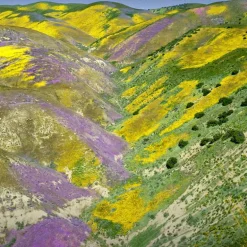 AQUA ALLEGORIA FORTE FLORABLOOM EAU DE PARFUM