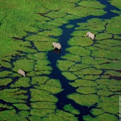 AQUA ALLEGORIA NETTARE DI SOLE EAU DE TOILETTE