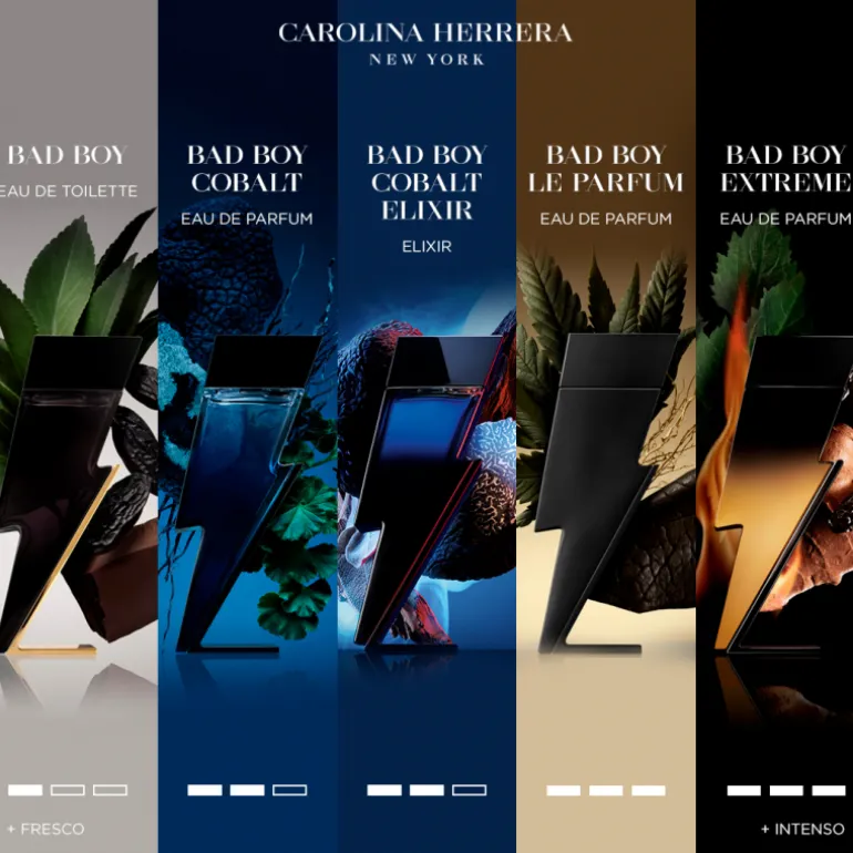 BAD BOY COBALT ELIXIR EAU DE PARFUM