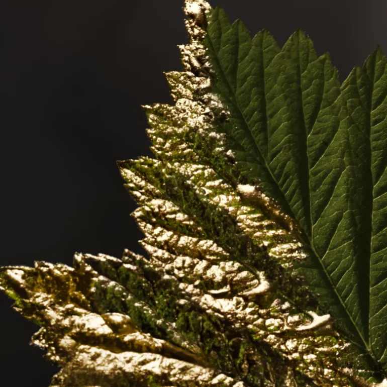 BOSS Bottled Absolu Parfum Intense para Hombre