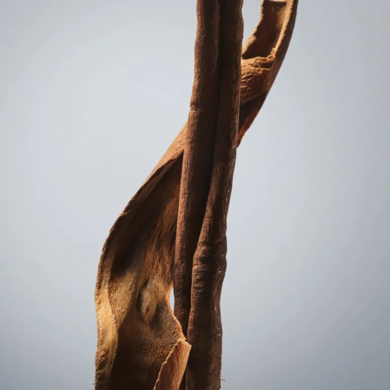 BOSS BOTTLED EAU DE TOILETTE VAPORIZADOR