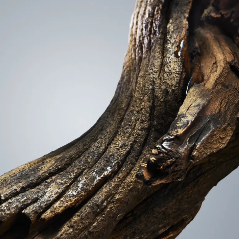 BOSS BOTTLED EAU DE TOILETTE VAPORIZADOR