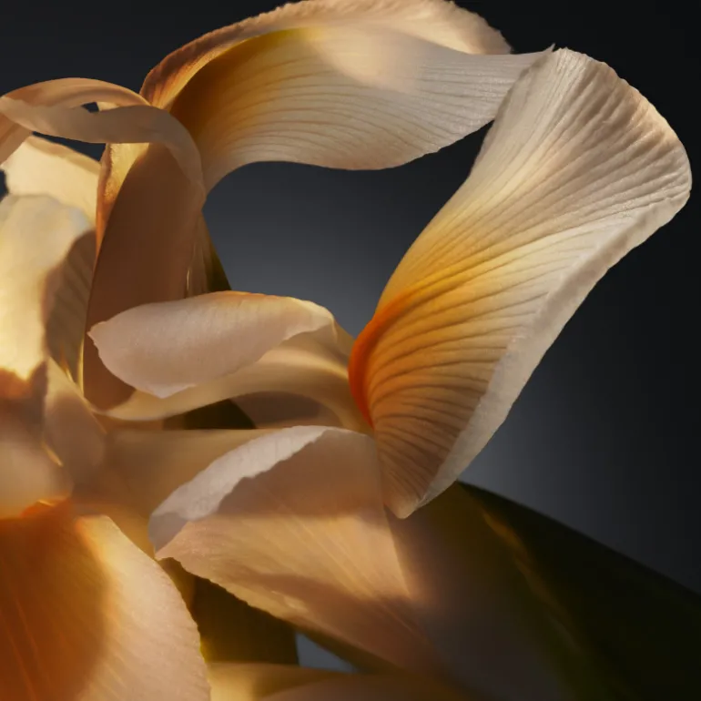 BOSS BOTTLED PARFUM EAU DE PARFUM VAPORIZADOR