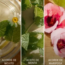 BRISA CUBANA EAU DE TOILETTE EDICIÓN LIMITADA