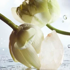 Bvlgari Man Rain Essence Eau de Parfum