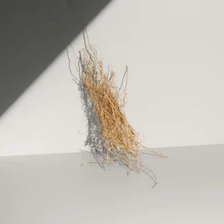 Calvin Klein Defy Eau de Toilette