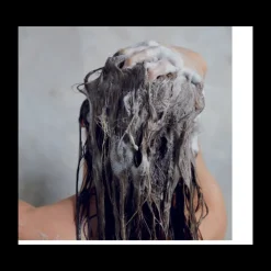 Champú Regenerador Ageless