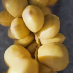 Chloé Nomade Naturelle Eau de Parfum Vaporizador