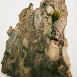 Chloé Rose Naturelle Eau de Parfum Vaporizador