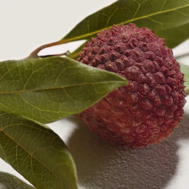 Chloé Signature Eau de Parfum