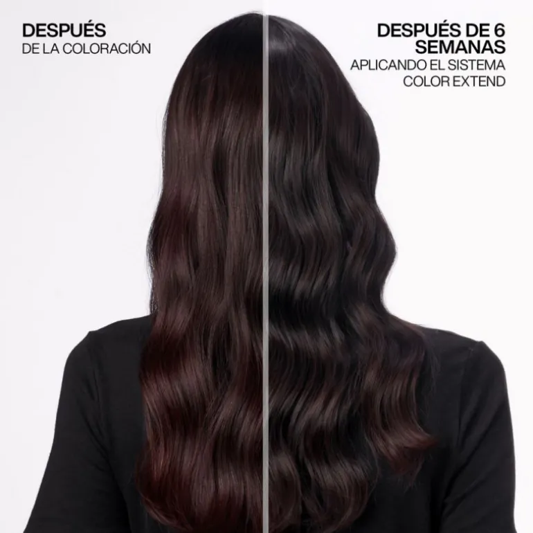 COLOR EXTEND MAGNETICS CHAMPÚ 300ML