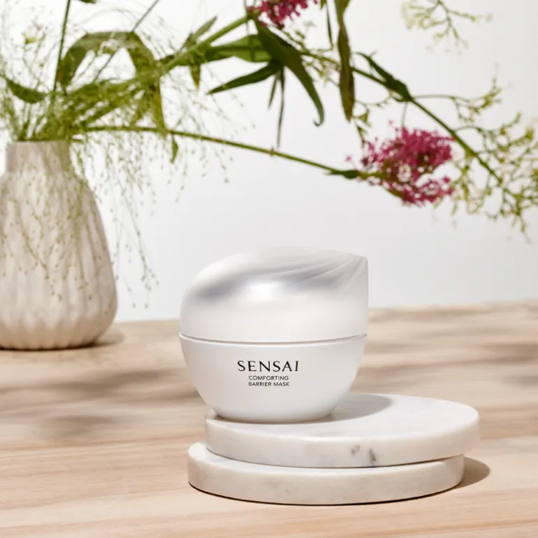 Comforting Barrier Mask