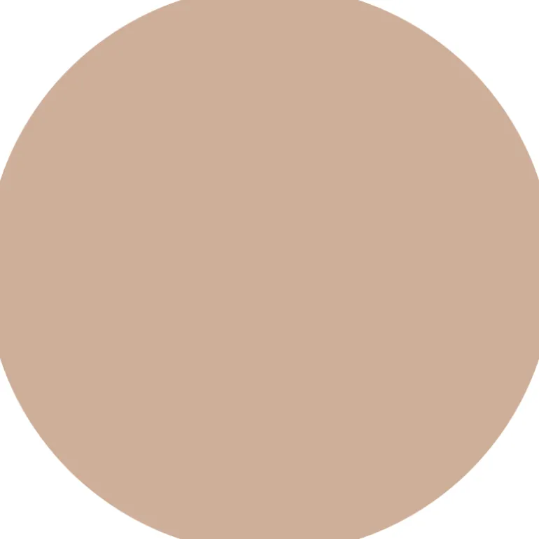 Corrector Camouflage+ Matt