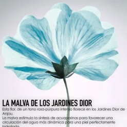 DIOR HYDRA LIFESoin yeux hydratation givrée