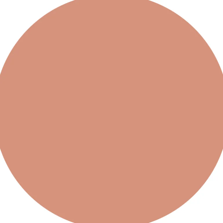 Endless Matte Liquid Lipstick