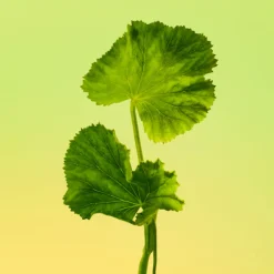 ETERNITY MEN AFTER SHAVE 100ML