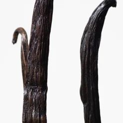 Euphoria Eau de Toilette para Mujer