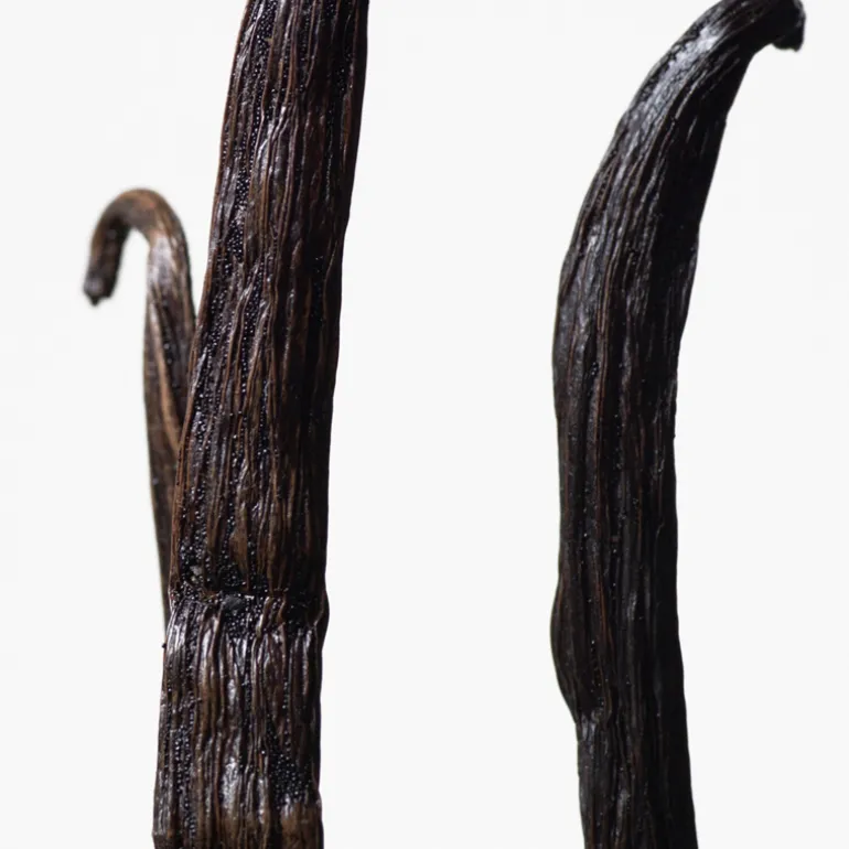 Euphoria Eau de Toilette para Mujer