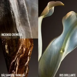 Fame The Couture Edition Eau de Parfum Edición Limitada