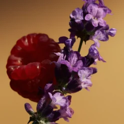 Goddess Parfum para Mujer