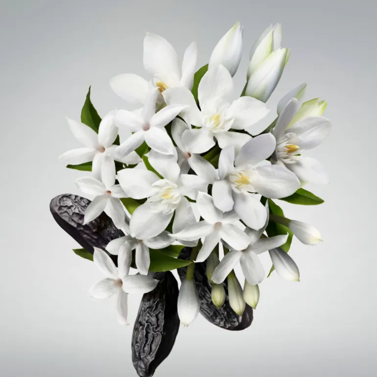 GOOD GIRL BODY CREAM 200ML