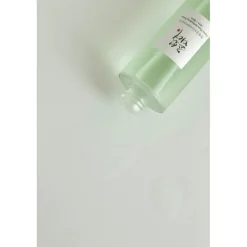 Green Plum Refreshing Toner: Aha + Bha