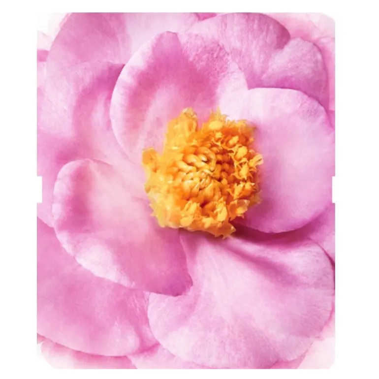 HAIR PRODIGIEUX MASCARILLA NUTRICIÓN PRE-CHAMPÚ