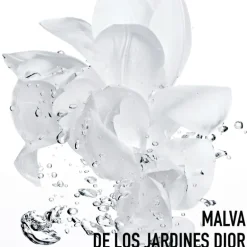 HYDRA LIFEDior Hydra Life Crème Sorbet Fraîcheur Crema hidratante