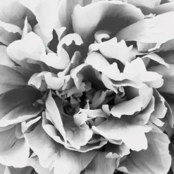 IN LUCK EDP VAPORIZADOR