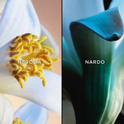 JARDINS DE BAGATELLE EDP 75ML