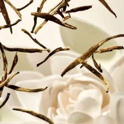 KARMA SCENTED CANDLE