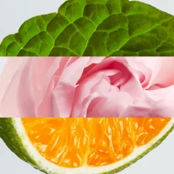 L.12.12 WOMAN PURE ROSE EDP VAPORIZADOR 100ML