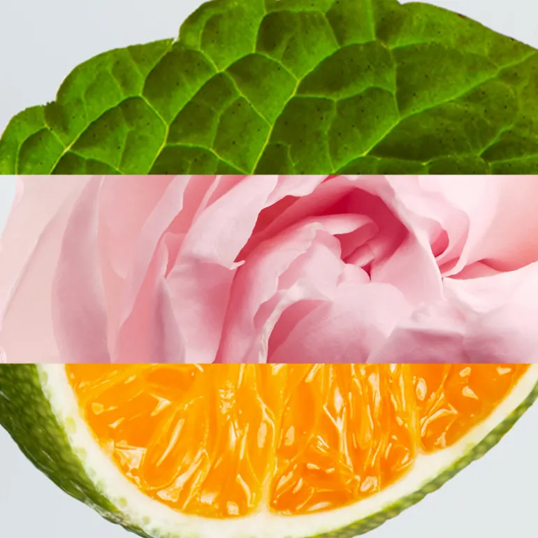 L.12.12 WOMAN PURE ROSE EDP VAPORIZADOR 100ML