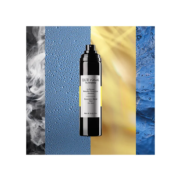 La Brume Bouclier Protection