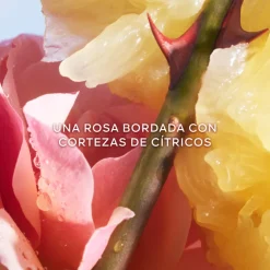 La Petite Robe Noire Eau de Toilette