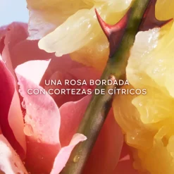 La Petite Robe Noire Le Flacon Coeur Eau de Toilette