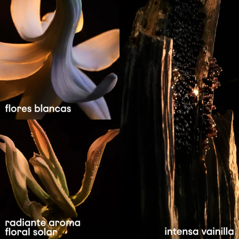 LADY MILLION FABULOUS EDP