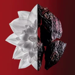 L'INTERDIT EAU DE TOILETTE VAPORIZADOR