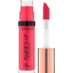 LIP BOOSTER LABIAL PLUMP IT UP