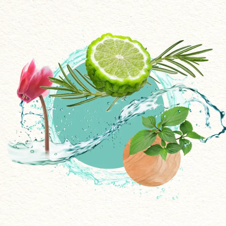 MOOD FOR A DREAM MAN窶ÓN LIMITADA