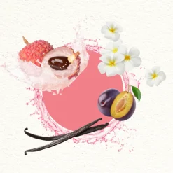 MOOD FOR A DREAM WOMAN窶ÓN LIMITADA