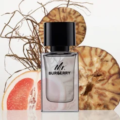 MR BURBERRY EDT
