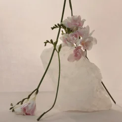 NUDE MUSK EAU DE PARFUM VAPORIZADOR