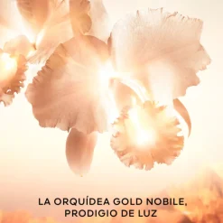 Orchidée Impériale Gold Nobile